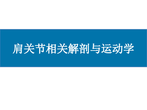 肩关节相关解剖与运动学特征PPT课件