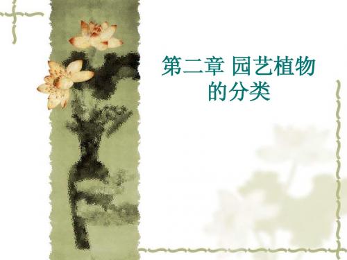 第二章园艺植物的分类