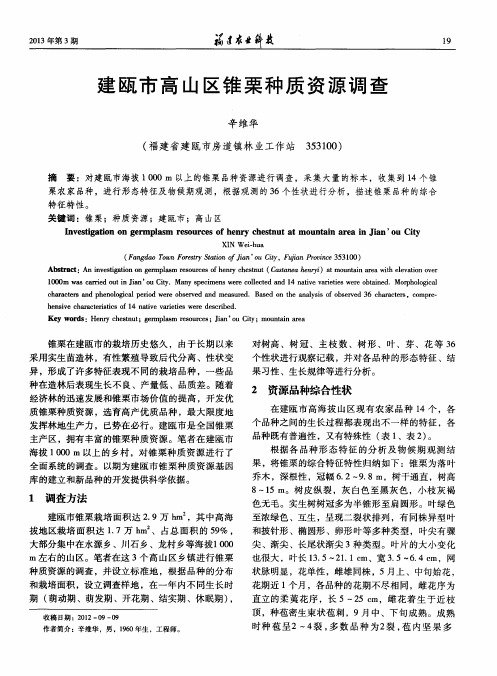 建瓯市高山区锥栗种质资源调查