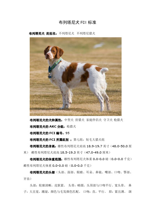 布列塔尼犬FCI标准
