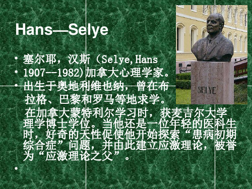 第四节  应激评估_PPT课件