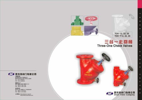 三合一止回阀