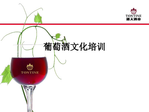 葡萄酒文化培训ppt课件
