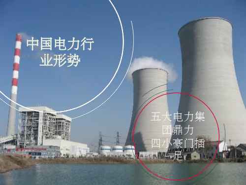 中国五大发电集团简介课件