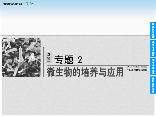 高考生物一轮复习 2微生物的培养与应用配套课件 新人教版选修1
