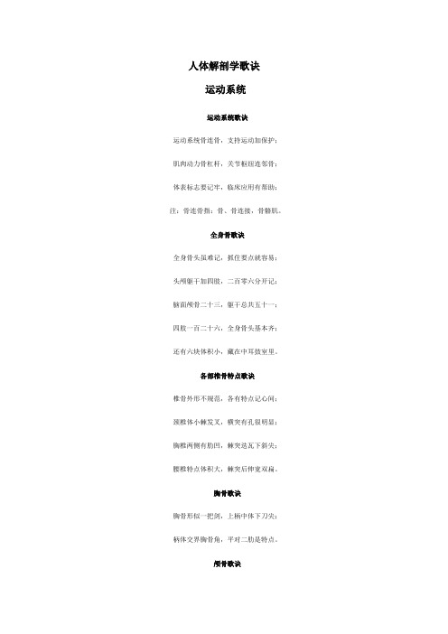 人体解剖学歌诀