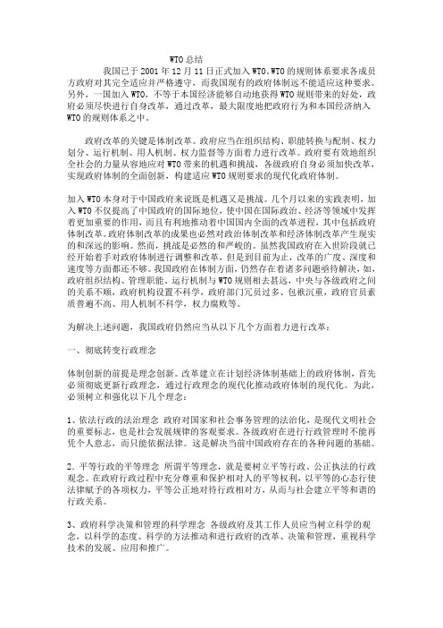 WTO总结