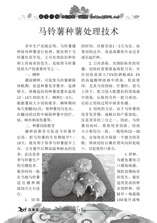 马铃薯种薯处理技术