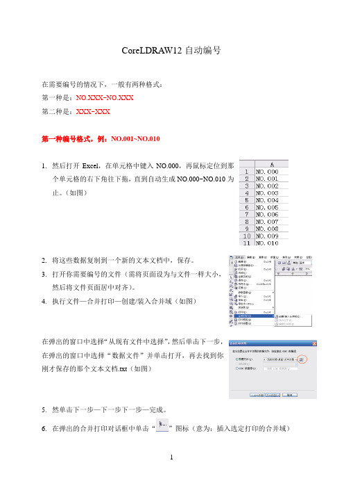 CoreLDRAW12自动编号