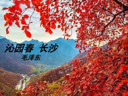 《沁园春长沙》PPT课件