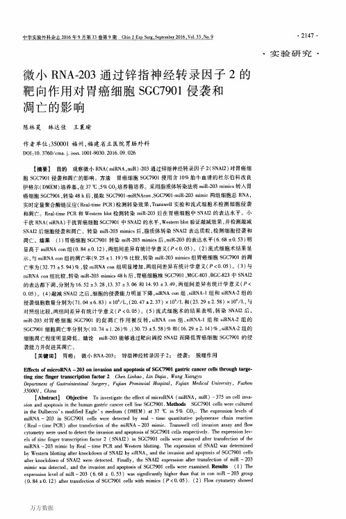 微小RNA-203通过锌指神经转录因子2的靶向作用对胃癌细胞SGC7901侵袭和凋亡的影响重点