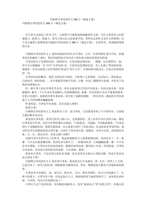 写植物月季花的作文300字(精选3篇)