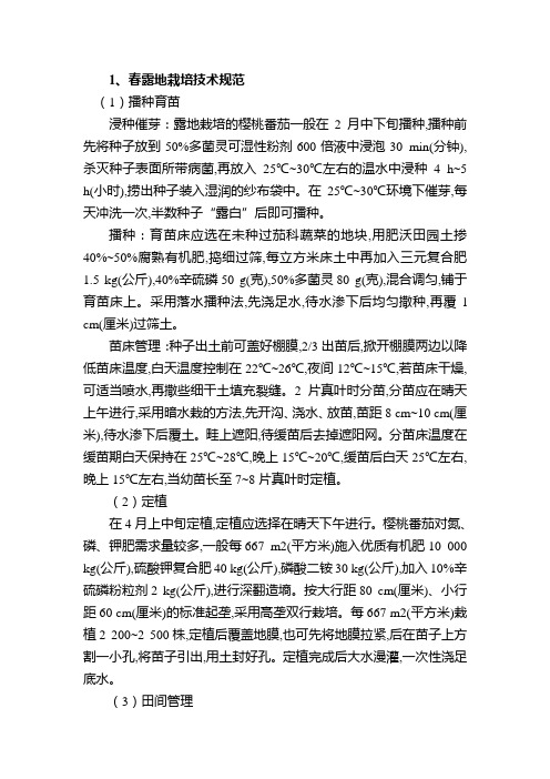 樱桃番茄露地栽培技术