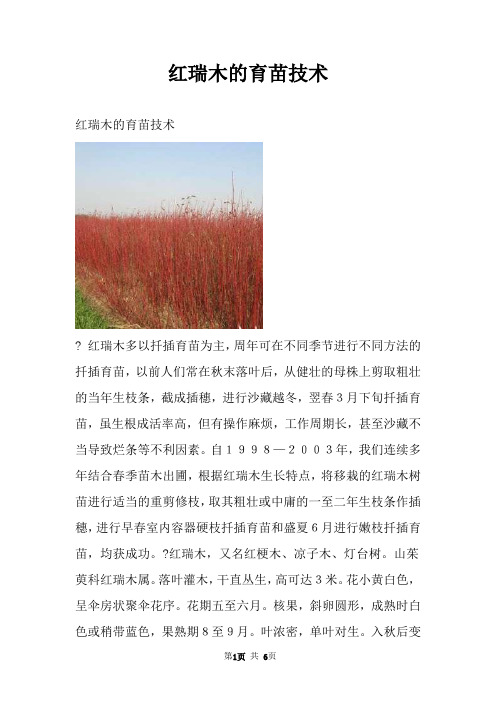 红瑞木的育苗技术