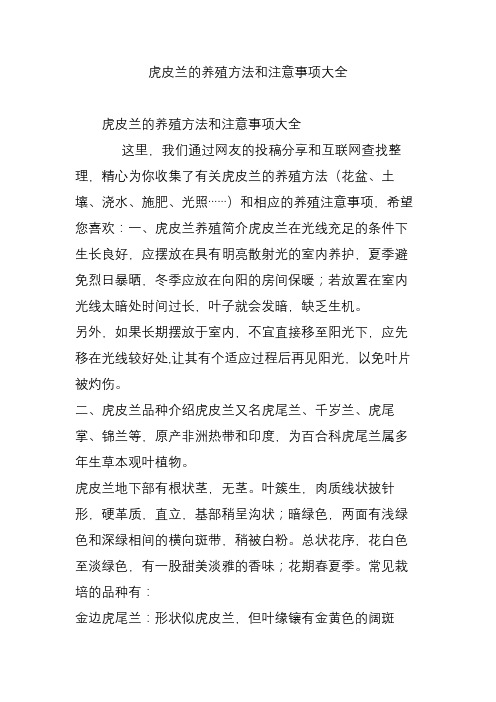 虎皮兰的养殖方法和注意事项大全