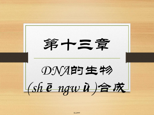 生物化学简明教程第十三章DNA的生物合成