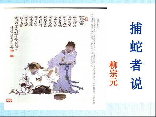 2018年春苏教版语文九年级上册 捕蛇者说(课件)