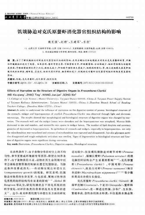 饥饿胁迫对克氏原螯虾消化器官组织结构的影响