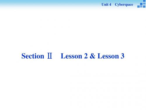 2016-2017学年 北师大版 必修2 unit4 Cyberspace lesson2 课件