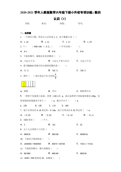 2020-2021学年人教版数学六年级下册小升初专项训练：数的认识(1)