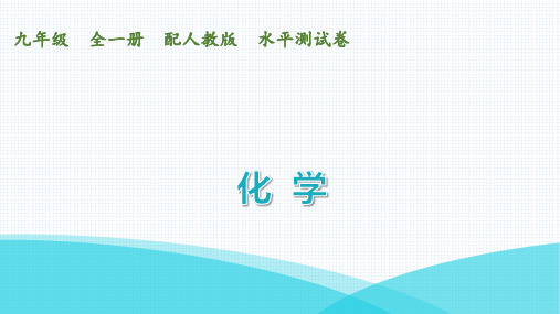 最新人教版九年级全一册化学下册水平测试试卷