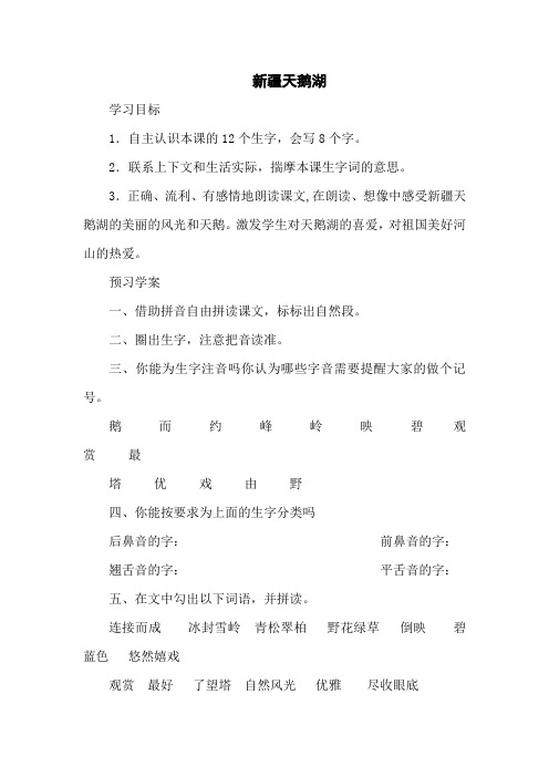 新疆天鹅湖教学设计教案