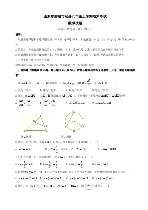 2019年山东省聊城市冠县九年级上册期末考试数学试题有答案