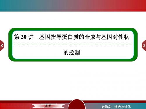 高三生物一轮复习 基因指导蛋白质合成与基因对性状控制