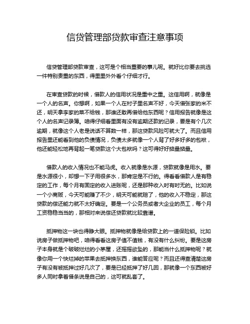 信贷管理部贷款审查注意事项