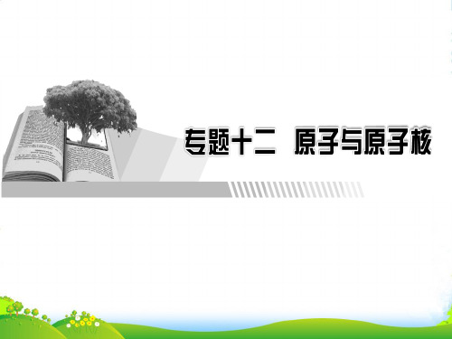 高三物理高考总复习课件：专题12 第1讲波粒二象性