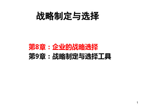 企业战略管理 企业的战略选择PPT课件