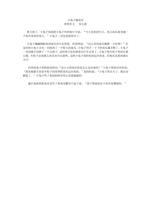 小兔子摘南瓜