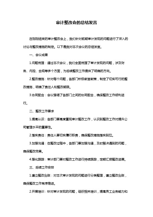 审计整改会的总结发言