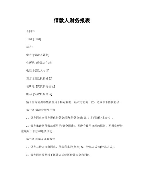借款人财务报表