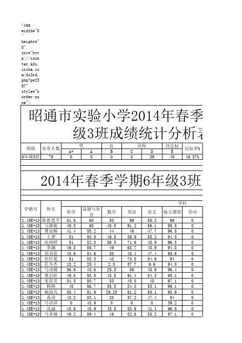 昭师附小六年级成绩汇总表