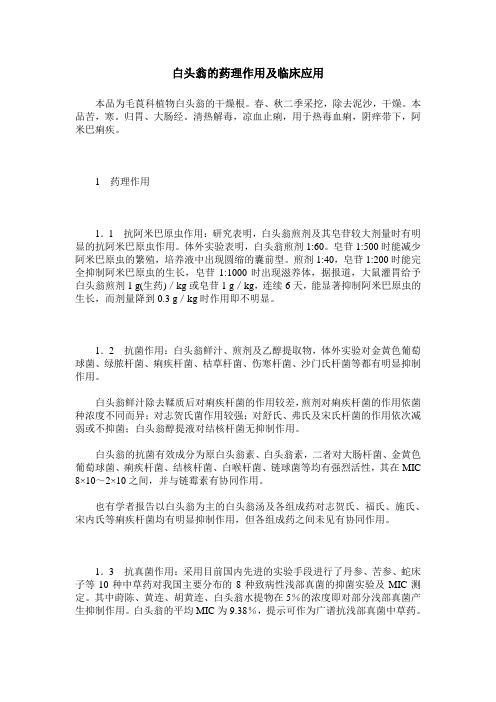 白头翁的药理作用及临床应用