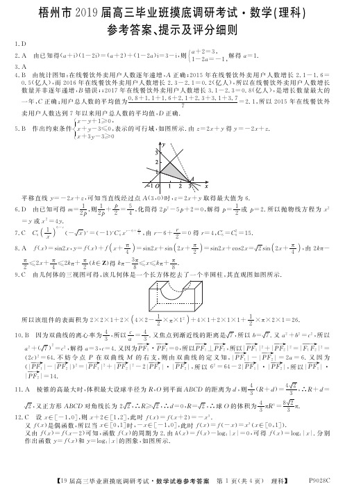 2019届广西梧州市高三毕业班摸底调研考试 数学理科答案
