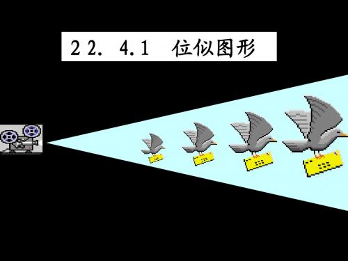 22.4.1位似图形