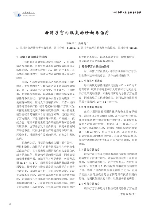 母猪子宫内膜炎的诊断与治疗