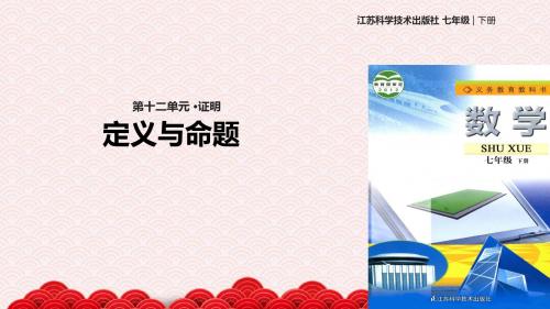 七年级下册数学课件-12.1《定义与命题》课件3 苏科版