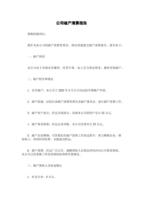 公司破产清算报告