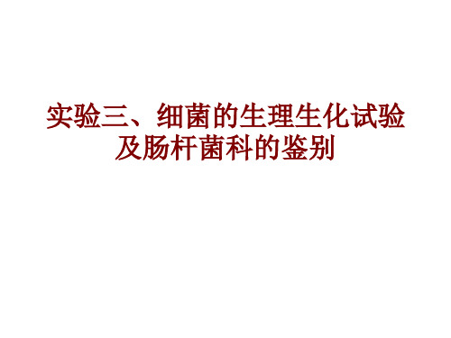细菌的生理生化及肠杆菌科的鉴别