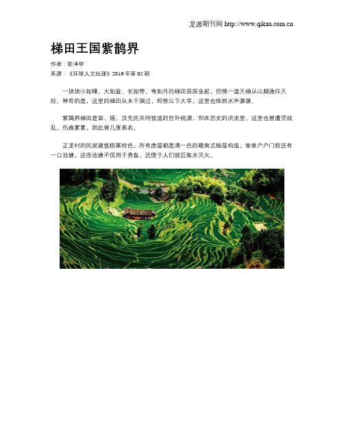 梯田王国紫鹊界