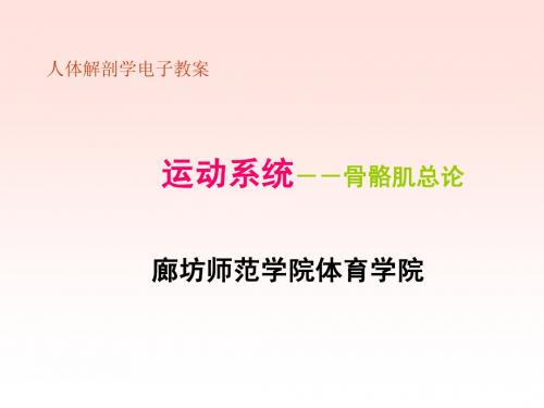 03-6运动系统-- 骨骼肌总论