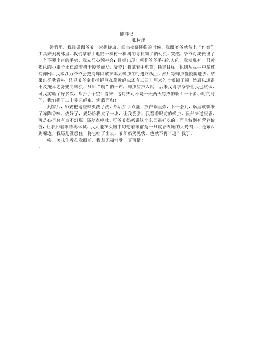 小学作文《捕禅记》