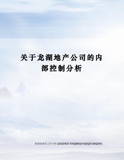 关于龙湖地产公司的内部控制分析