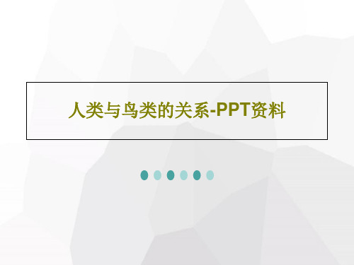 人类与鸟类的关系-PPT资料19页PPT