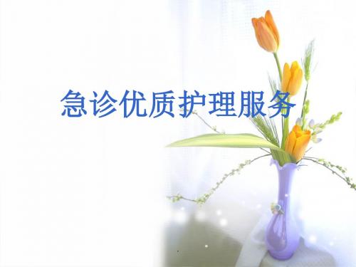 急诊优质护理服务PPT课件