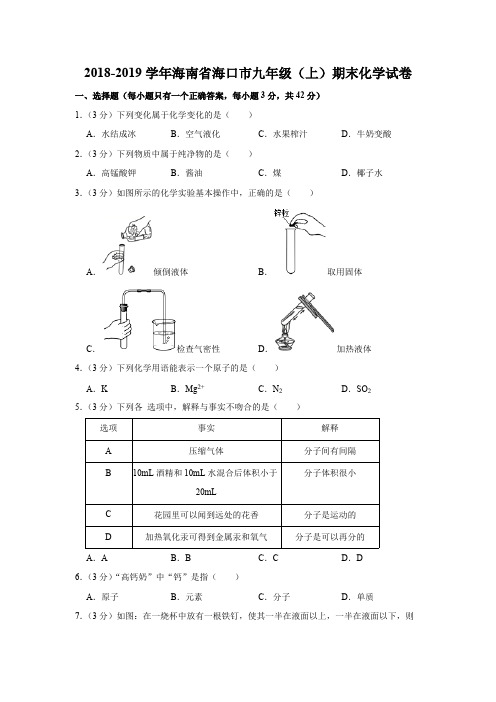 2018-2019学年海南省海口市九年级(上)期末化学试卷(解析版)