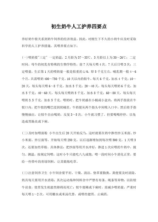 初生奶牛人工护养四要点